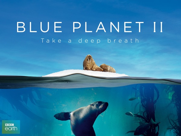 The Blue Planet موسیقی باشکوه مستند سیاره آبی ۲ شاهکار هانس زیمر