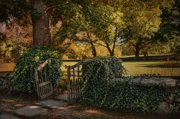 At the Ivy Gate تک‌نوازی زیبا و احساسی پیانو از برایان کرین