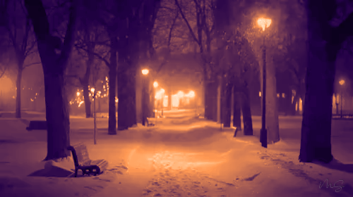 تصویر متحرک یک شب برفی در پارک