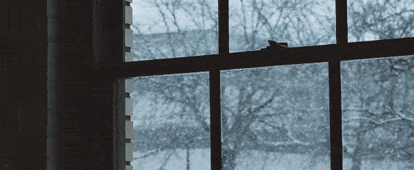 بارش برف در بیرون پنجره
